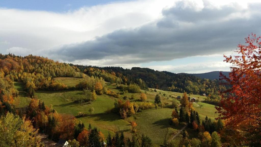 Agroturystyka U Doroty I Mariana Ochotnica Górna Eksteriør bilde